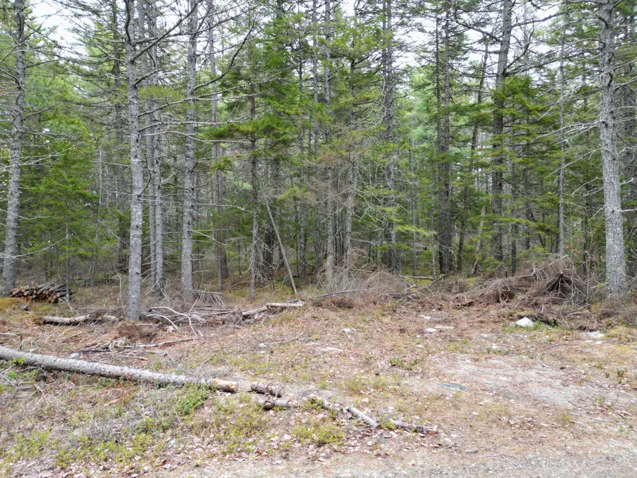 1323 Deer Haven, Wesley, ME 04686 - #3