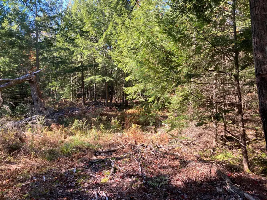 Address Withheld By Seller, Topsham, ME 04086 - #2