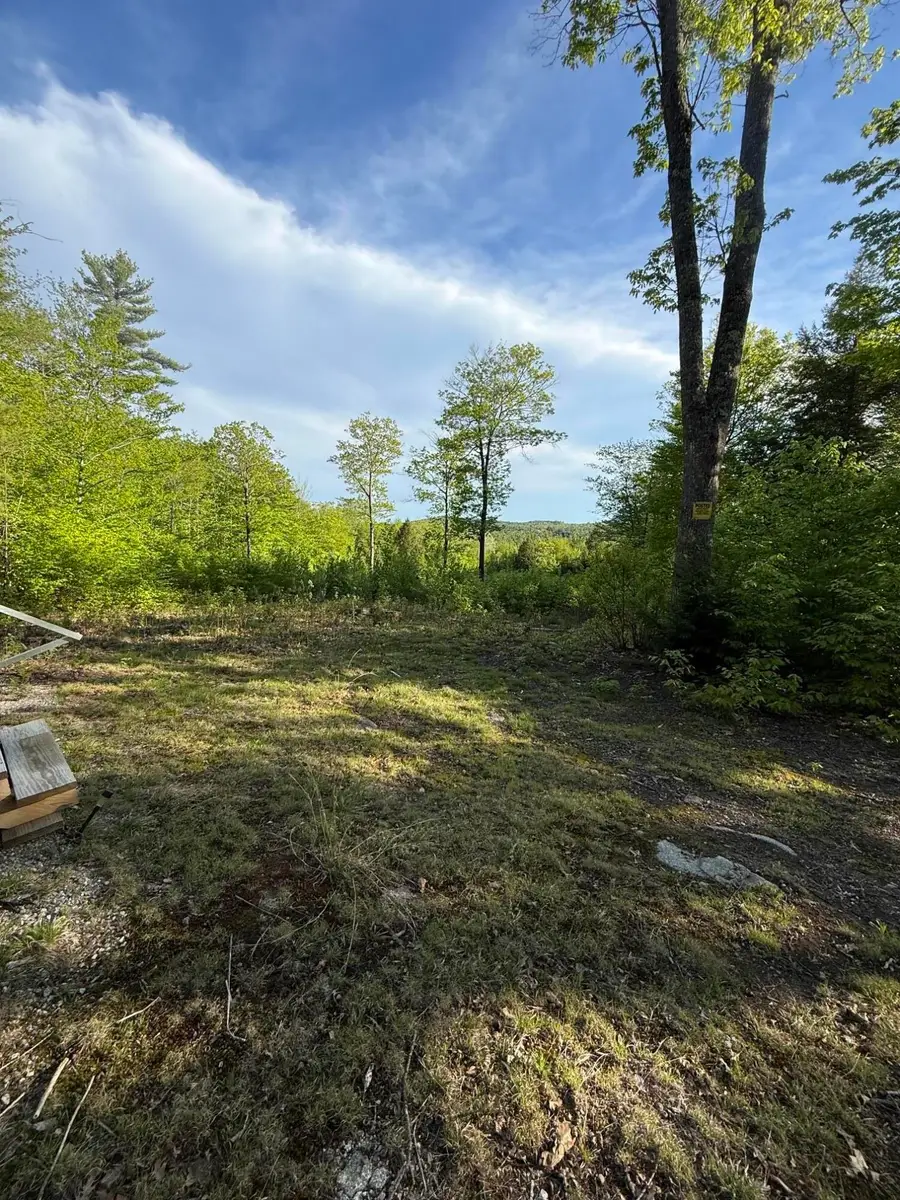Lot 9 Mcdaniels Road, Waterford, ME 04088 - #3