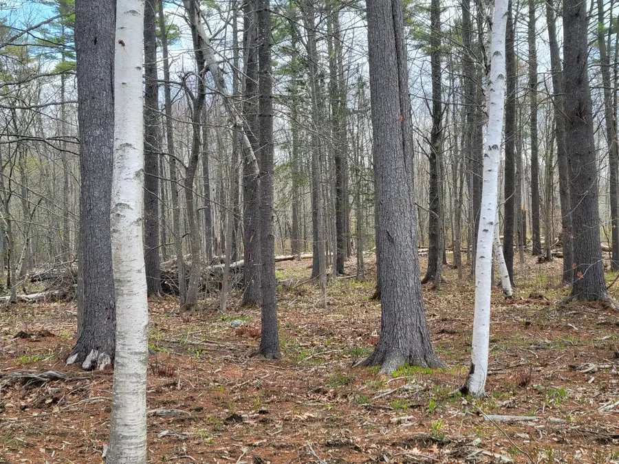 002 Lot B Mortland Road, Searsport, ME 04974 - #3