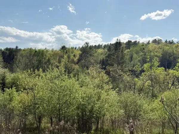0 Brookside Road, Orland, ME 04472