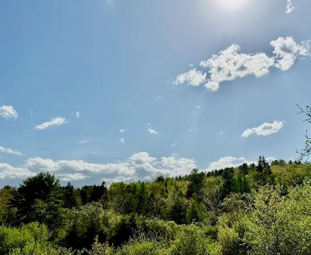 0 Brookside Road, Orland, ME 04472 - #2