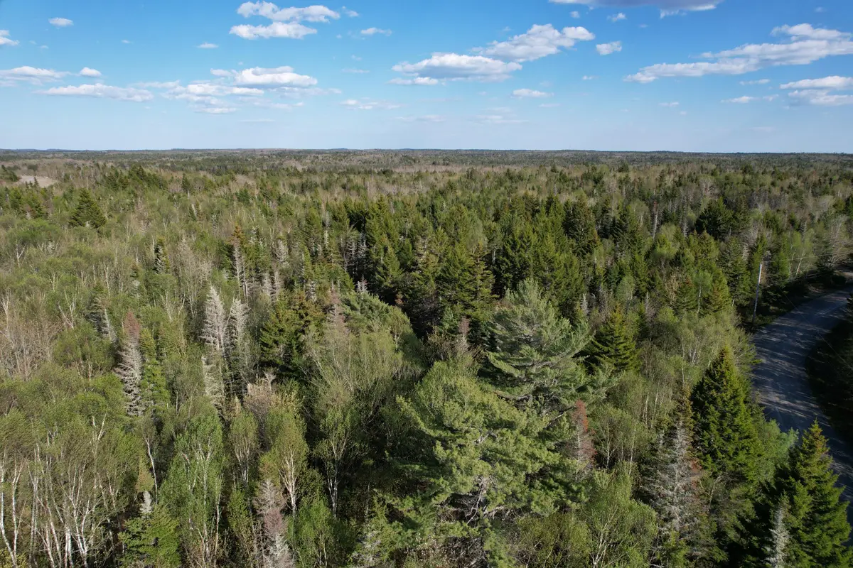 Lot 009 Off Of Reynolds Brook Road, Whiting, ME 04691 - #1