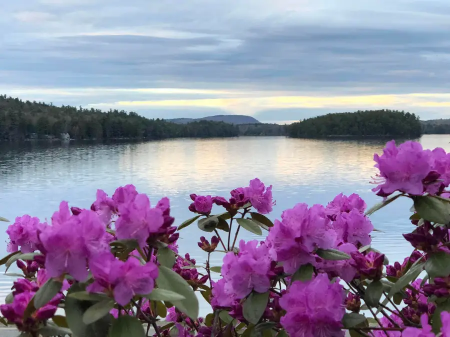362 Stickney Hill Road, Liberty, ME 04949 - #2