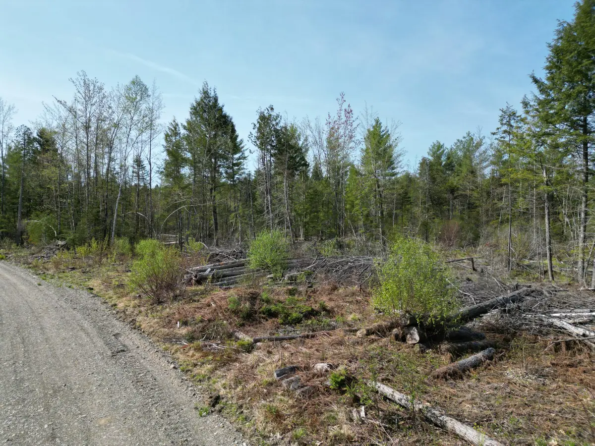 Lot 1 Mattamiscontis Road, Howland, ME 04448 - #1