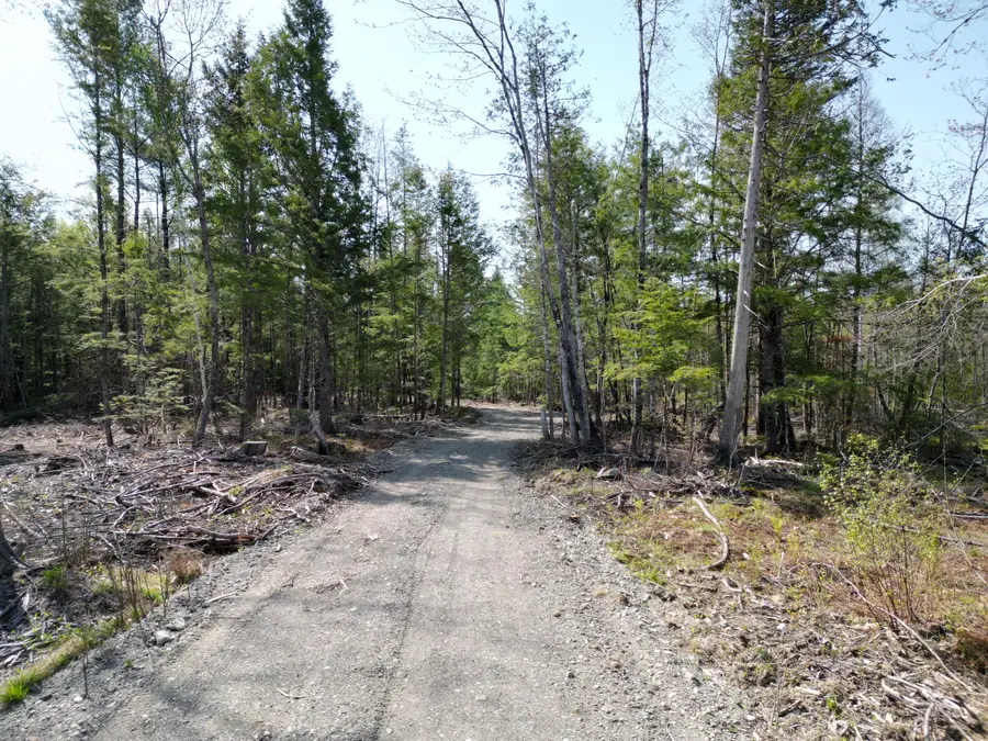 Lot 1 Mattamiscontis Road, Howland, ME 04448 - #3
