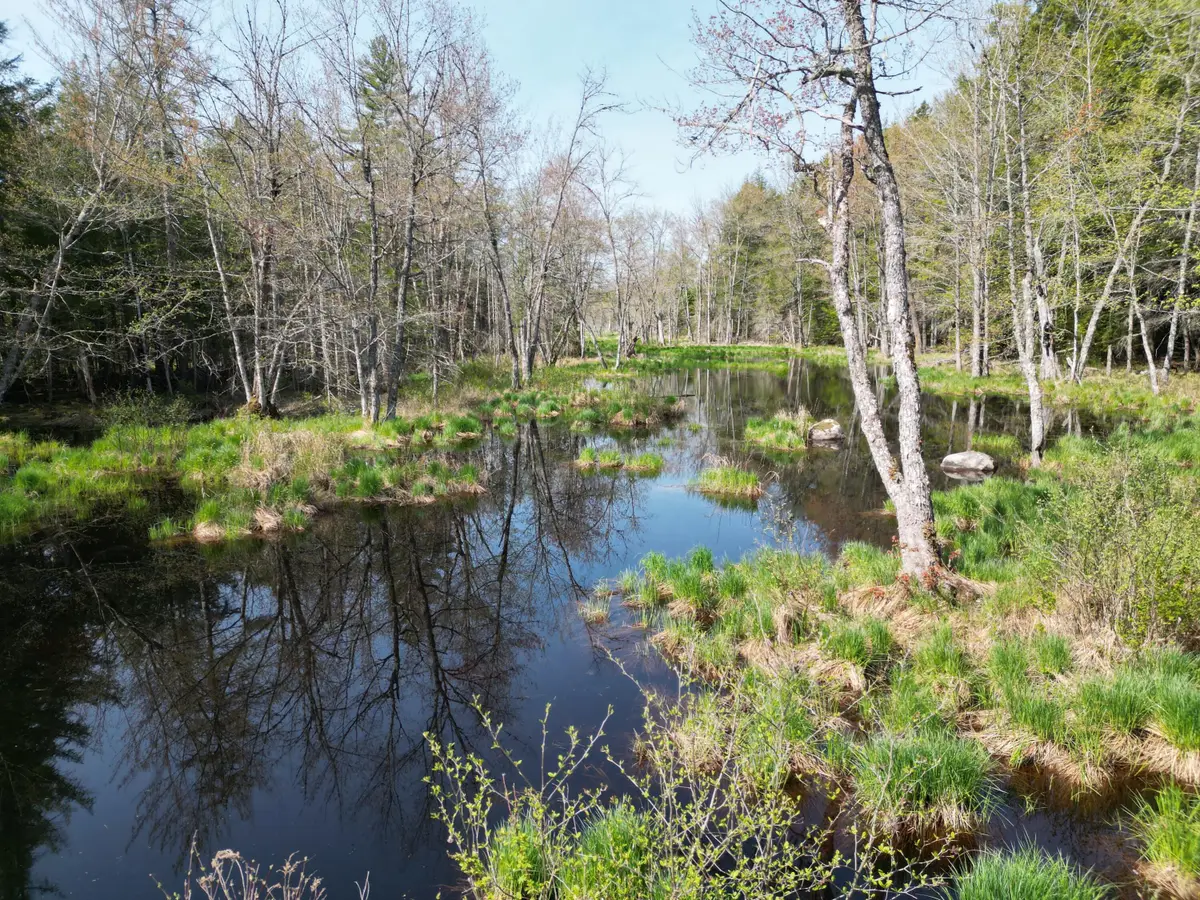 Lot 2 Off Mattamiscontis Road, Howland, ME 04448 - #1