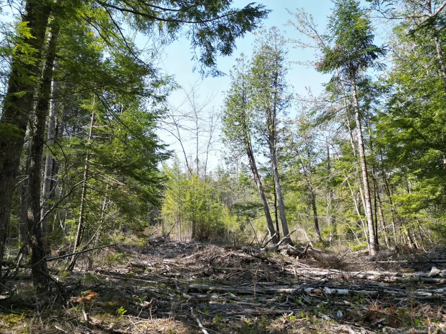 Lot 2 Off Mattamiscontis Road, Howland, ME 04448 - #3