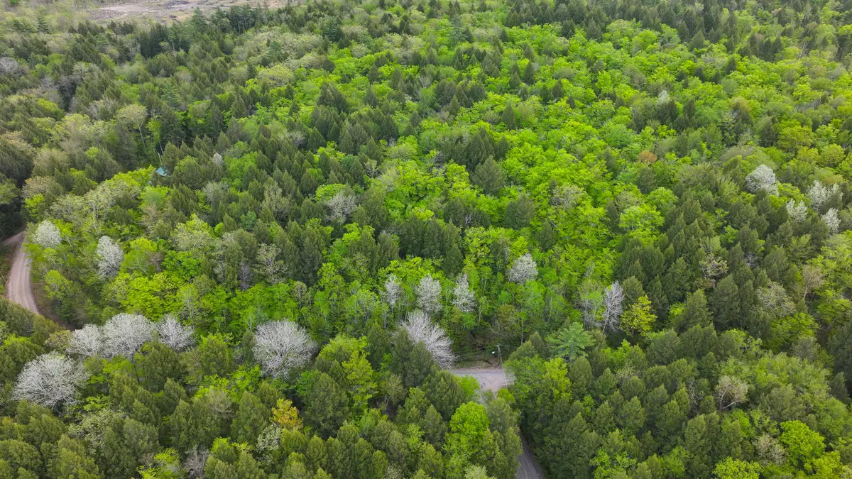MU42 L50 Timber Bay Shores Road, Lovell, ME 04051 - #1