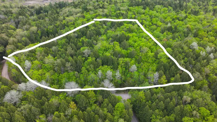 MU42 L50 Timber Bay Shores Road, Lovell, ME 04051 - #3