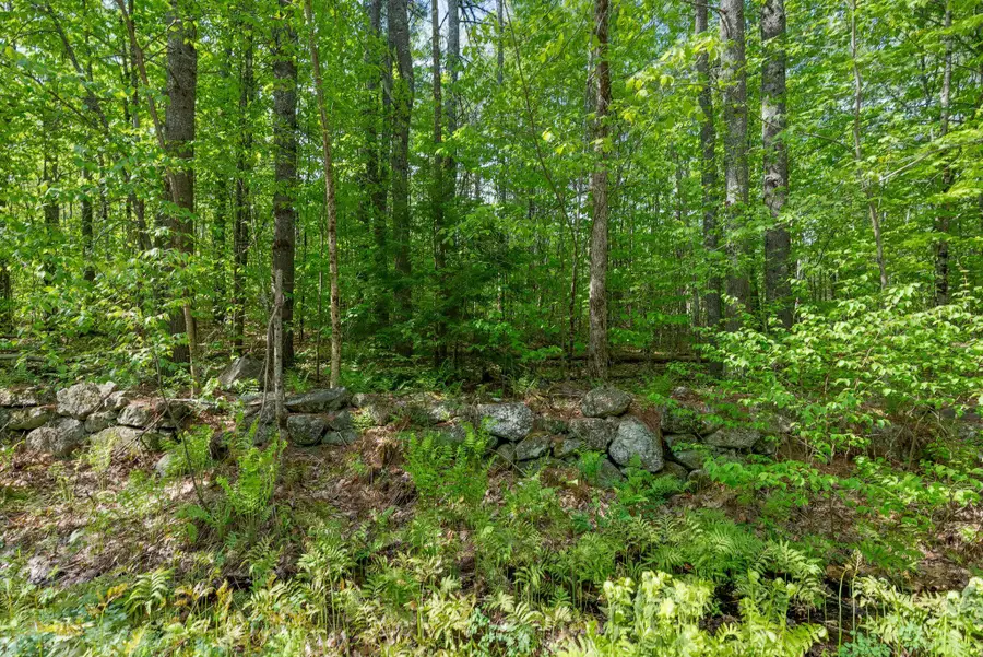 Lot C Shady Nook Road, West Newfield, ME 04095 - #3