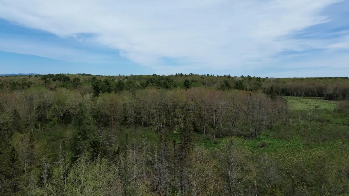 365 Cushing Road, Cushing, ME 04563 - #1