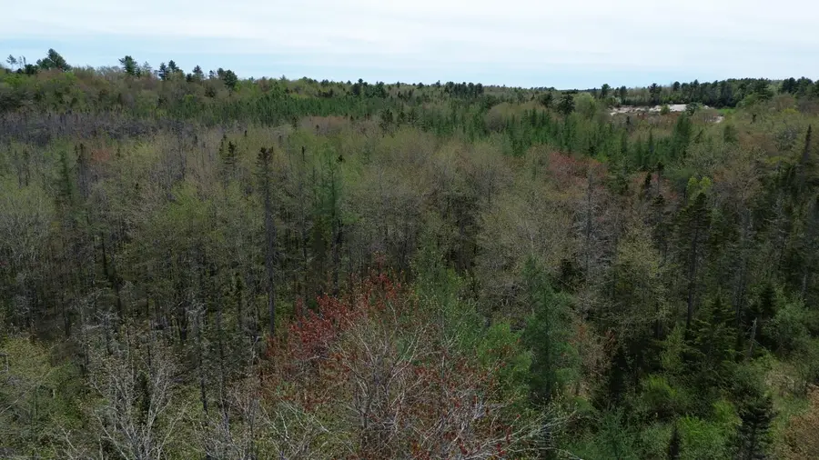 365 Cushing Road, Cushing, ME 04563 - #3