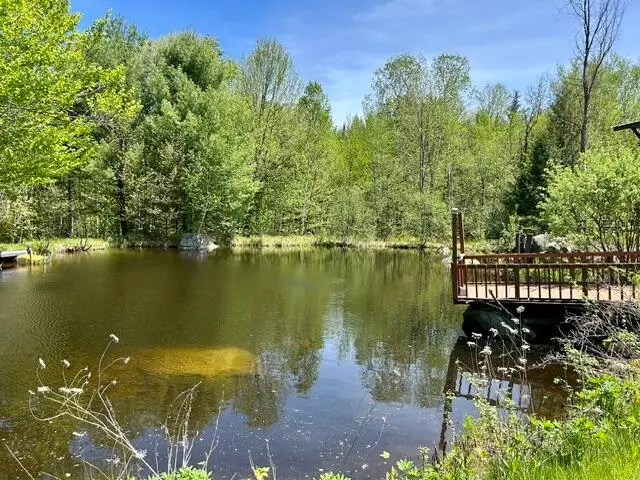 60 Mt Blue Pond Road, Avon, ME 04966 - #1
