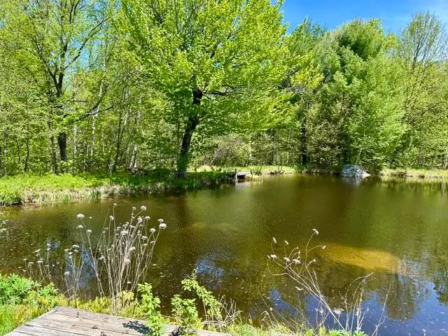 60 Mt Blue Pond Road, Avon, ME 04966 - #2