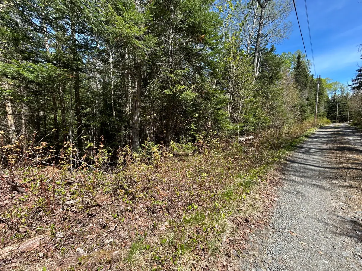 M17/L52-1 Stinchfield Road, Sandy River Plt, ME 04970 - #1