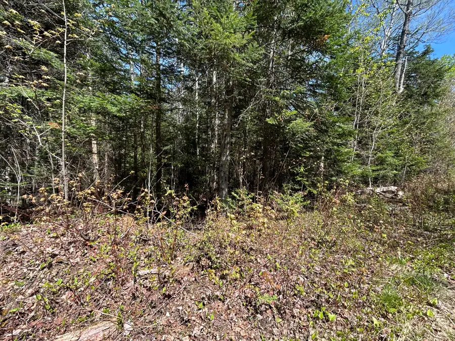 M17/L52-1 Stinchfield Road, Sandy River Plt, ME 04970 - #2