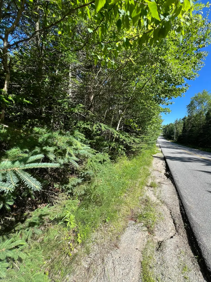 M34, L40 Hinckley Ridge Road, Blue Hill, ME 04614 - #2