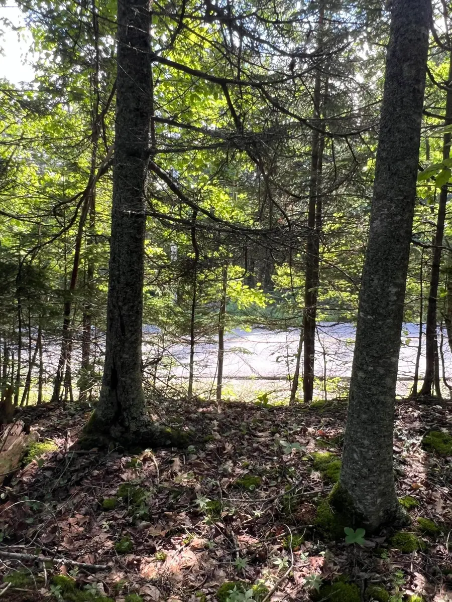 M34, L40 Hinckley Ridge Road, Blue Hill, ME 04614 - #3