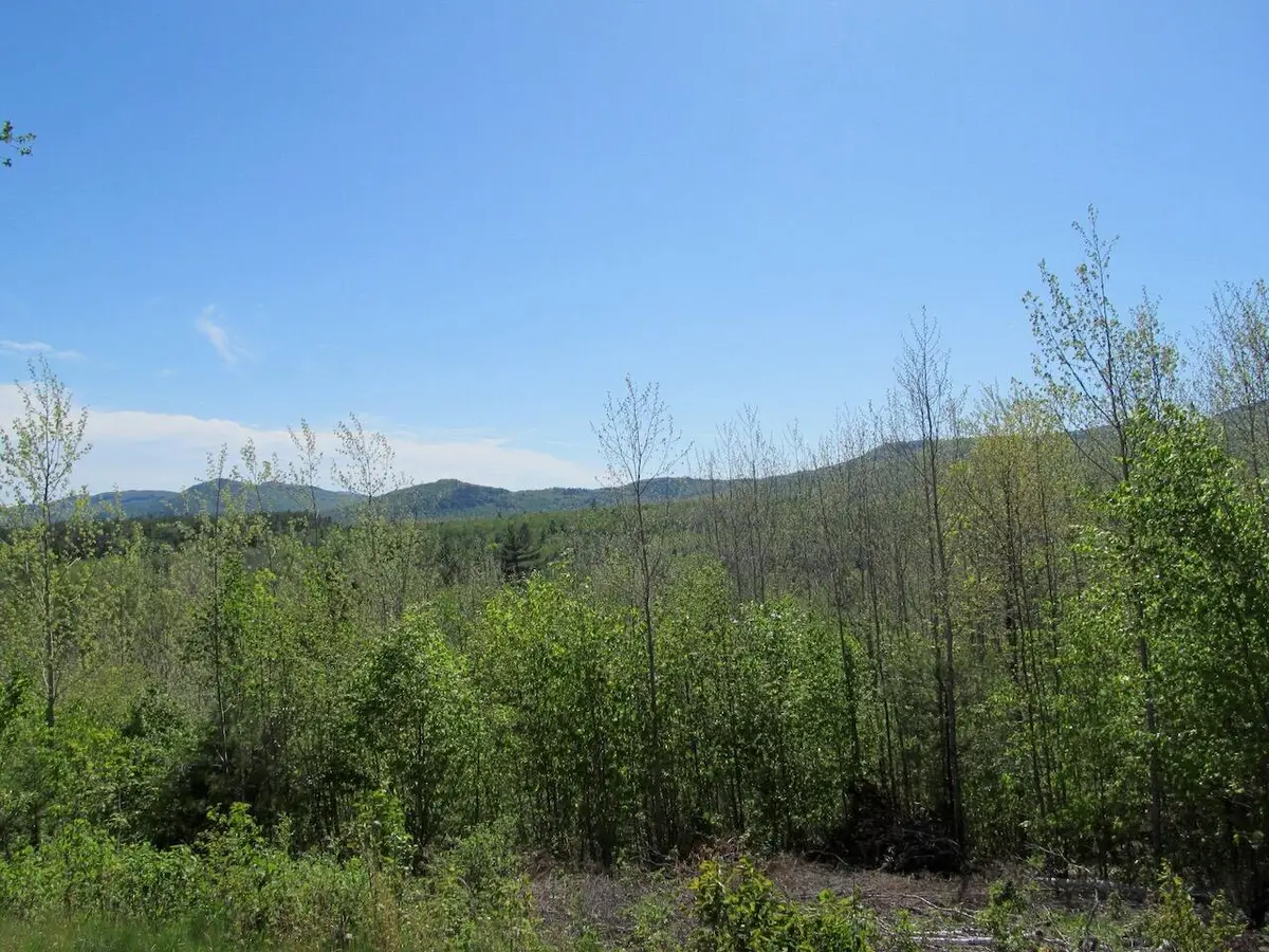0-4-5 W Side Road, Carthage, ME 04285 - #1
