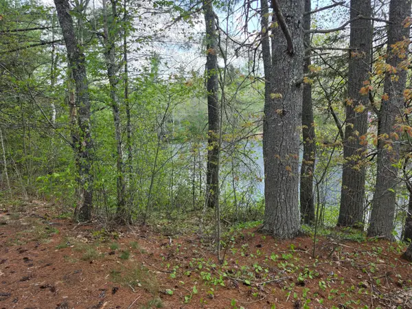 1452 Ridge Road, Pembroke, ME 04666
