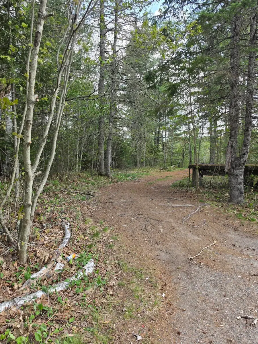 1452 Ridge Road, Pembroke, ME 04666 - #3