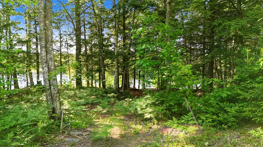 230, 250, 290 Beaver Ridge Road, Palermo, ME 04354 - #3