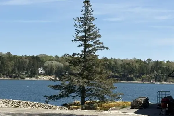 Lot 116010 Martin Point Road, Friendship, ME 04547