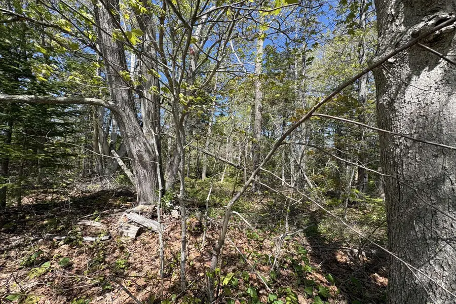 Lot 116010 Martin Point Road, Friendship, ME 04547 - #3