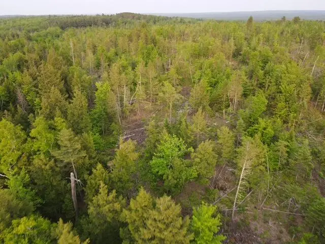 Lot 5 Sebec Village Road, Sebec, ME 04481 - #3