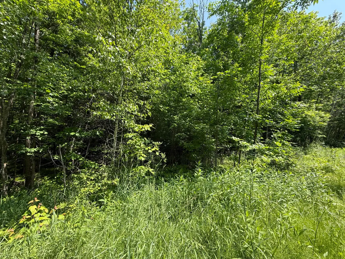 158-050-1 Vfw Street, Lincoln, ME 04457 - #1