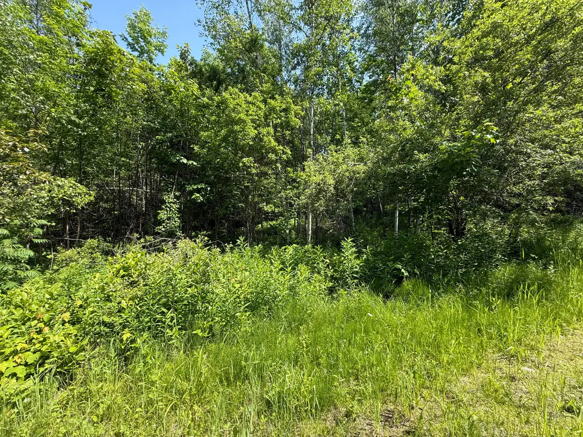 158-050-3 Vfw Street, Lincoln, ME 04457 - #1