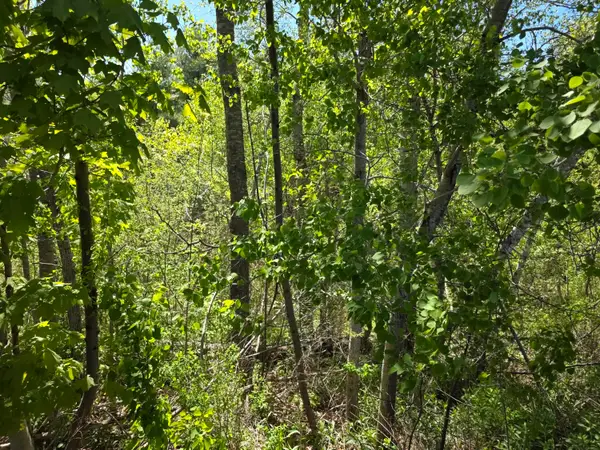 4 Goose River Estates, Swanville, ME 04915