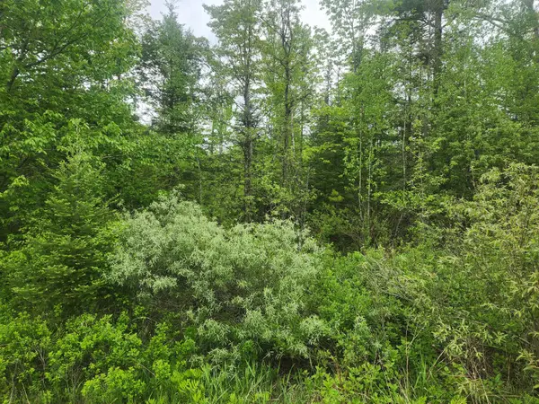 M5-L25-13 Union Street, Levant, ME 04456