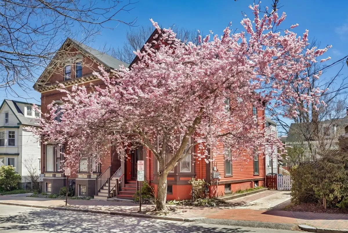 75 Carleton Street, Portland, ME 04102 - #1