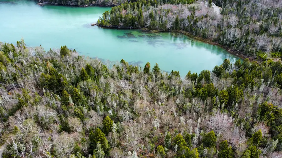 Lot 46 Yoho Head Road, Machiasport, ME 04655 - #2