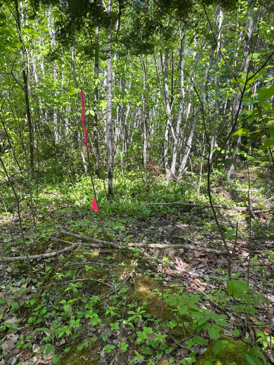 13 Mountain View Lane, Stockton Springs, ME 04981 - #3