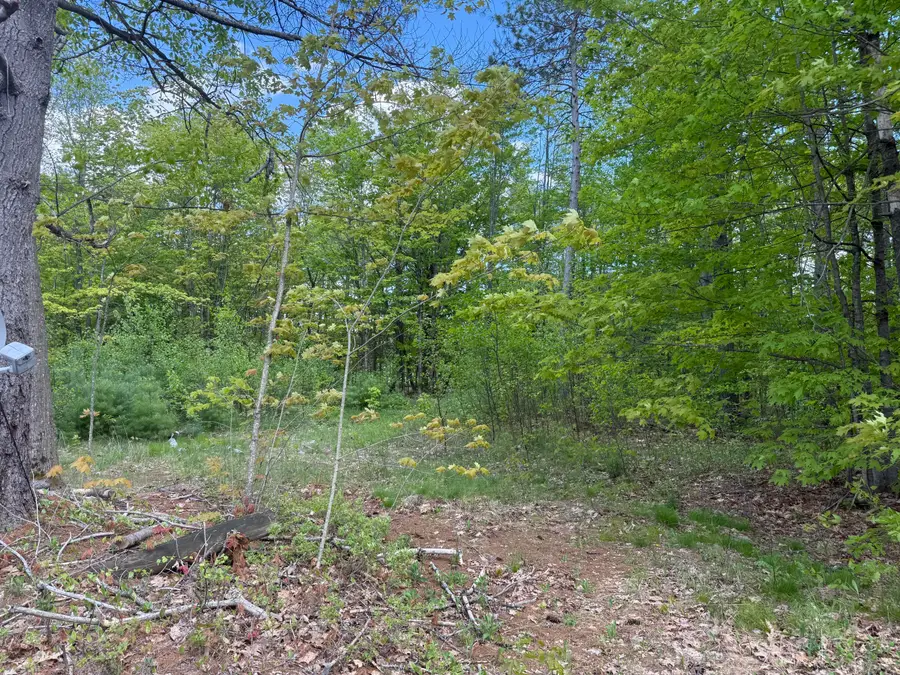 190 Barker Road, Bethel, ME 04217 - #2