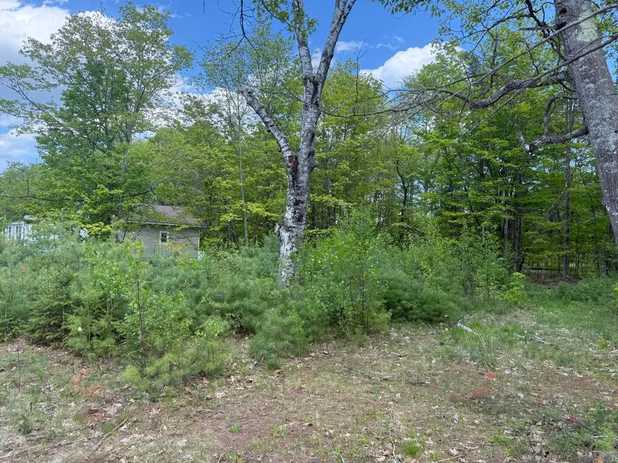 190 Barker Road, Bethel, ME 04217 - #3