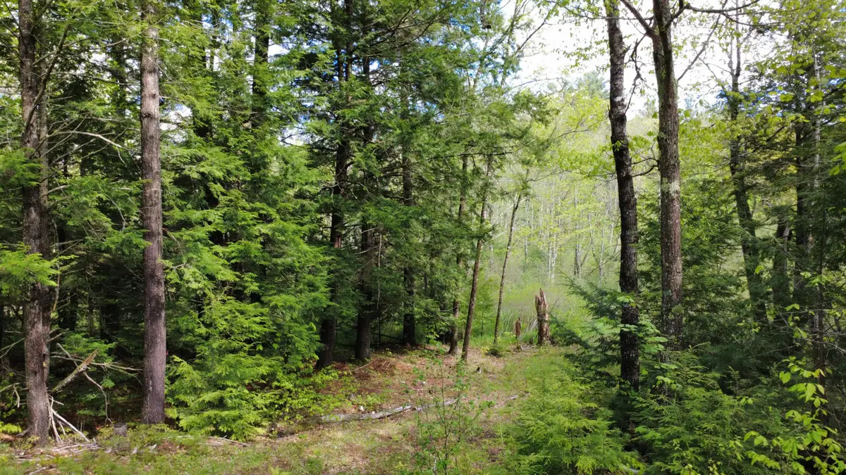 41 Fishtown Road, Liberty, ME 04949 - #1