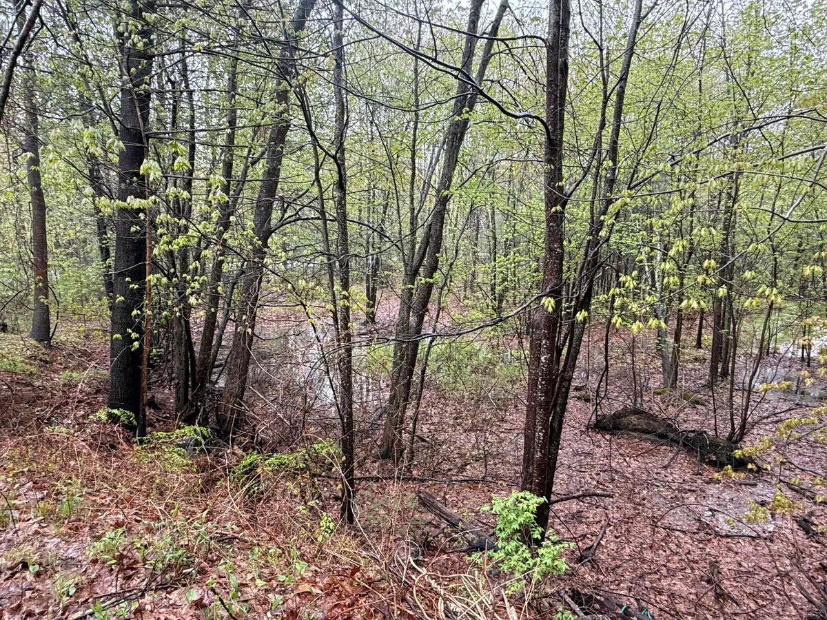 0 N Berwick Road, Wells, ME 04090 - #1