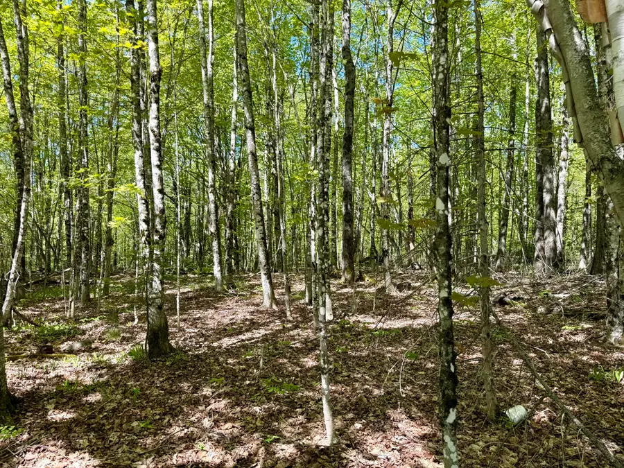 Lot34I Scammon Road, Greenville, ME 04441 - #2