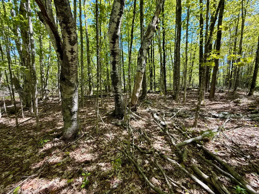 Lot34I Scammon Road, Greenville, ME 04441 - #3