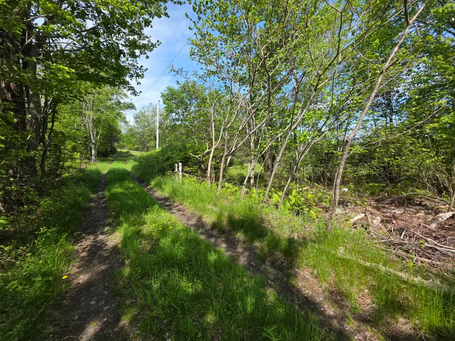 0 Morrison Road, Bucksport, ME 04416 - #3