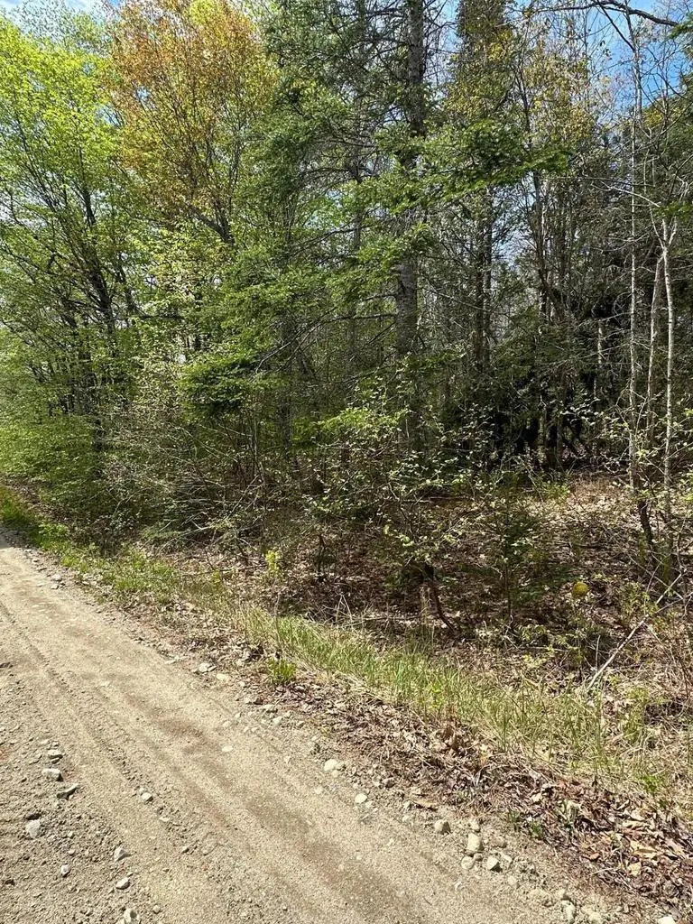 Lot 2 Morse District Road Road N, Steuben, ME 04680 - #1