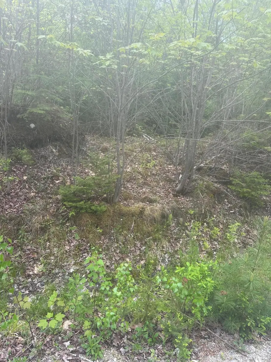 Lot 2 Morse District Road Road N, Steuben, ME 04680 - #3