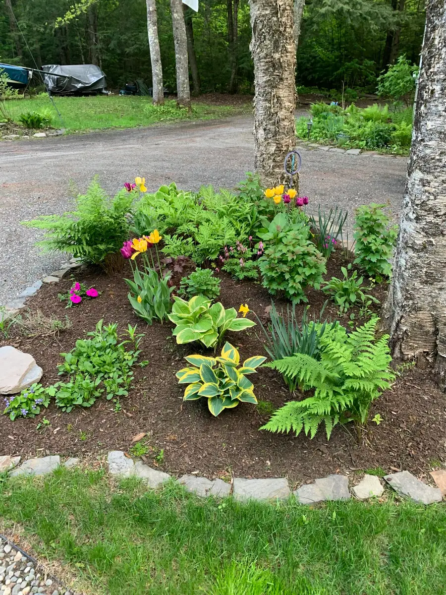 31 Salmon Road, Madison, ME 04950 - #2