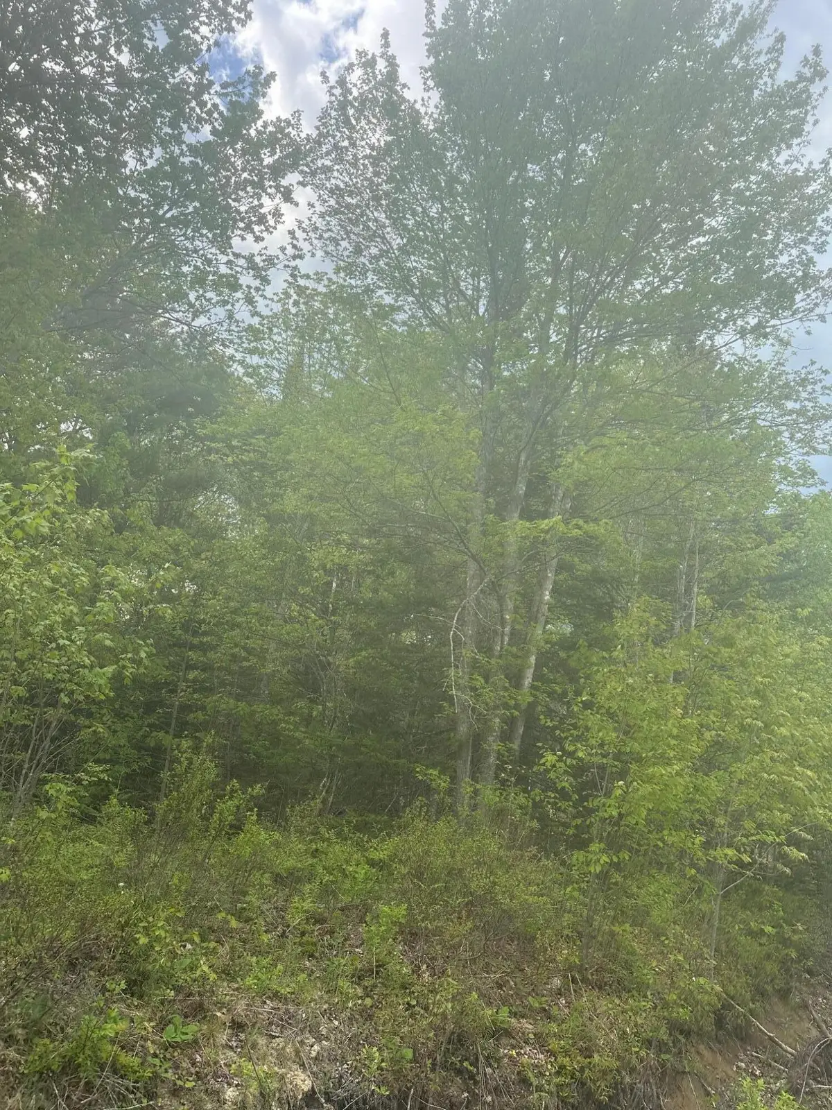 1 Morse District Road N, Steuben, ME 04680 - #1