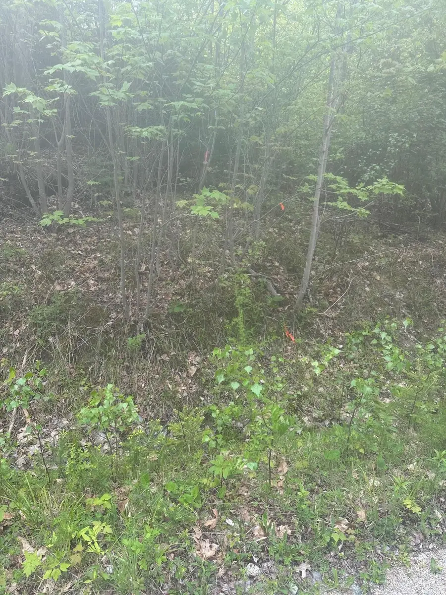 1 Morse District Road N, Steuben, ME 04680 - #2