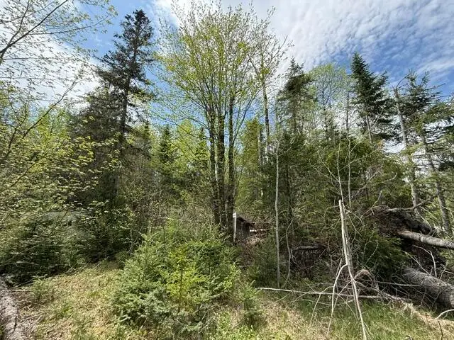 390 Woodland Road, Princeton, ME 04668 - #3